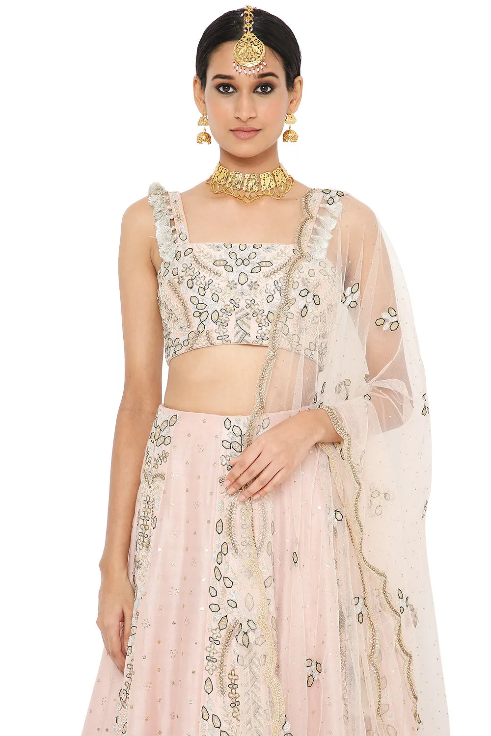 Athina Embroidered Choli With Lehenga And Dupatta