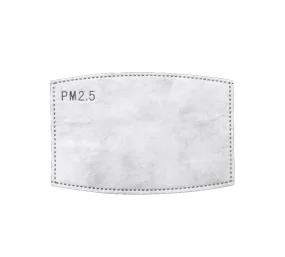 PM2.5 Insert for Face Masks